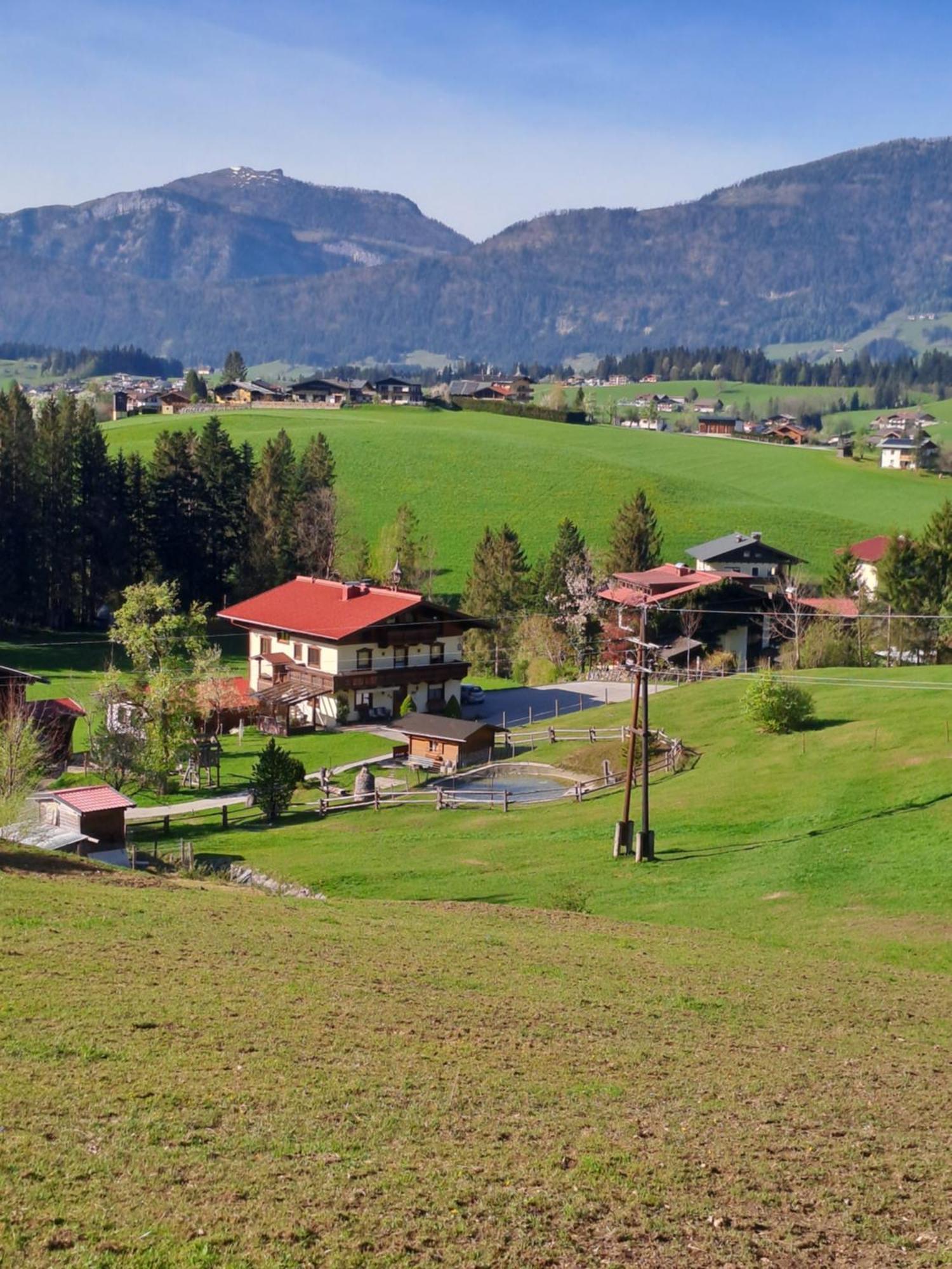 Haus Wallinger Abtenau Kültér fotó